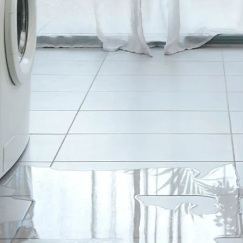 Appliance Leak Cleanup in Randolph County, NC