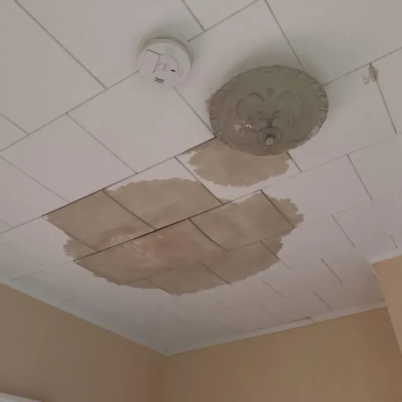 Ceiling Water Damage Repair in Randolph County, NC