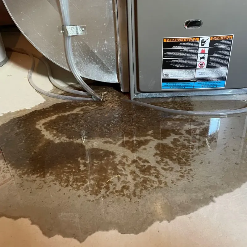 Pipe Burst and Leak Restoration in Randolph County, NC