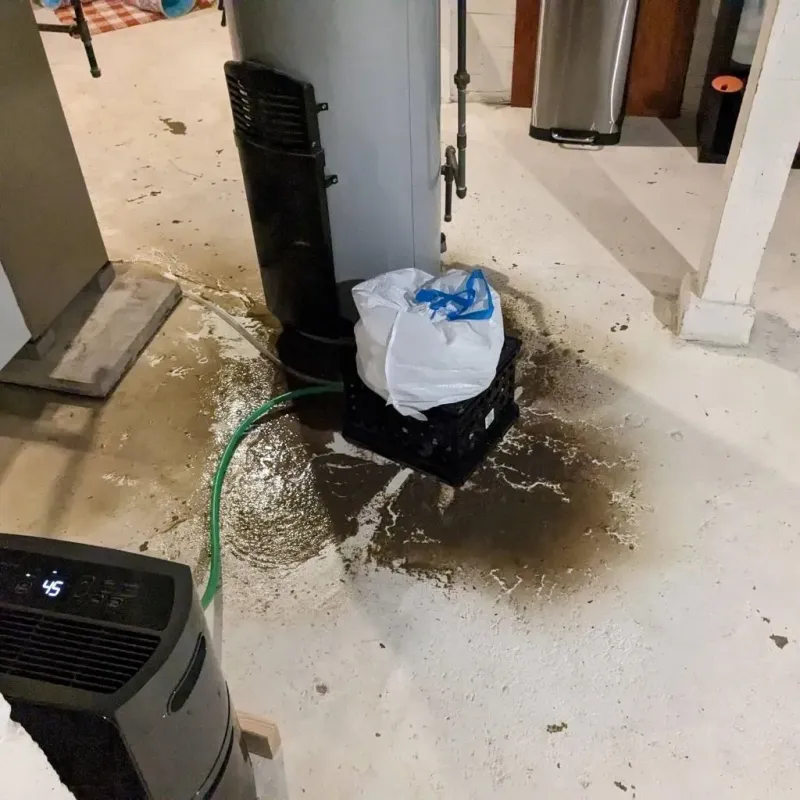 Sewage Backup Cleanup Service in Randolph County, NC